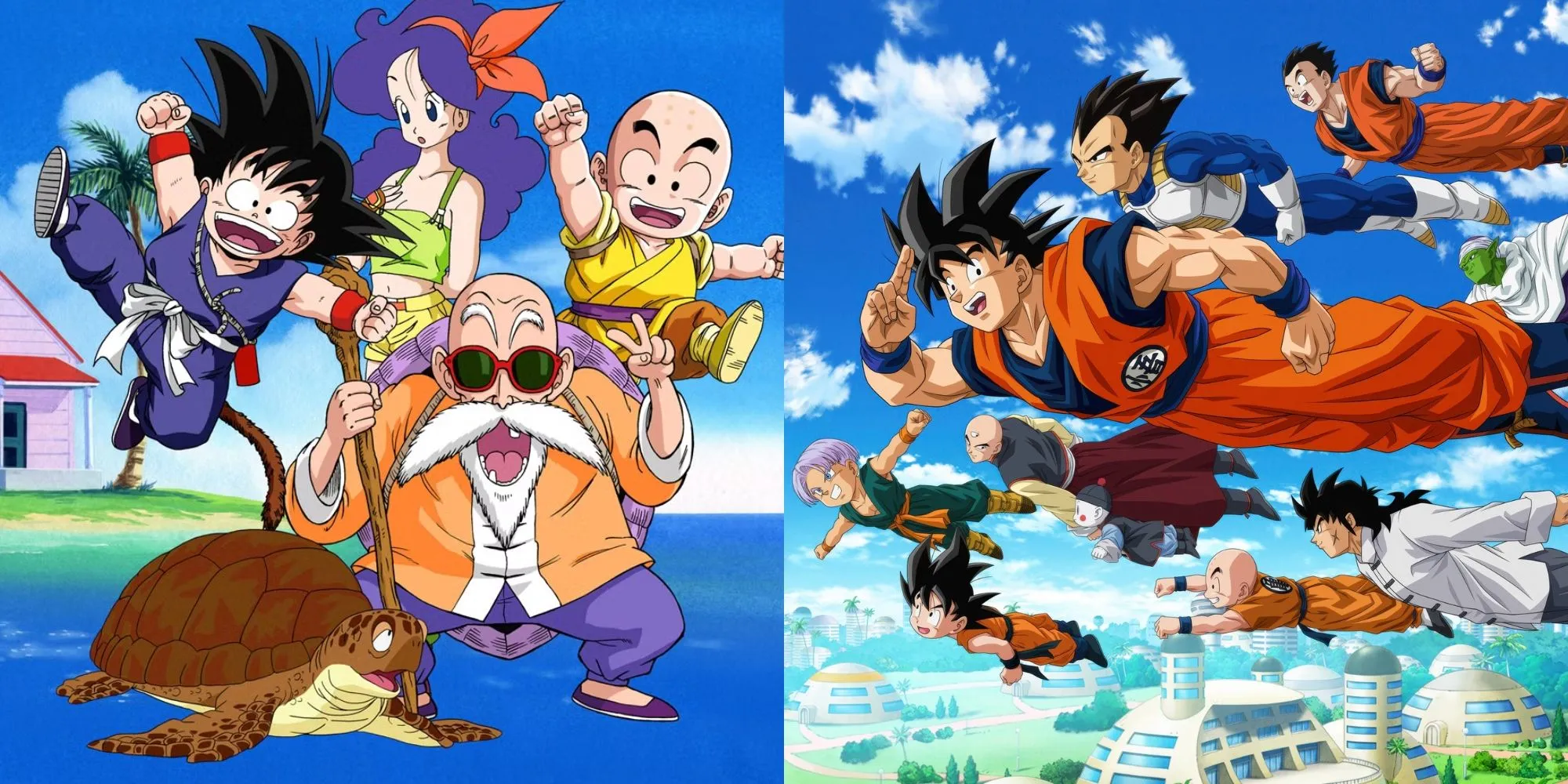 Goku sử dụng chiêu thức Kamehameha