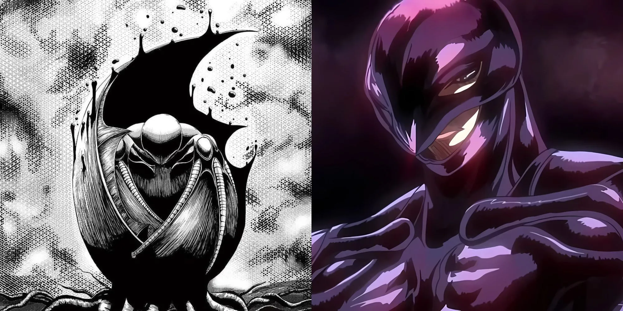 Griffith/Femto từ Berserk, thủ lĩnh Đội Quân Chim Ưng, kẻ hy sinh tất cả vì giấc mơ của mình.