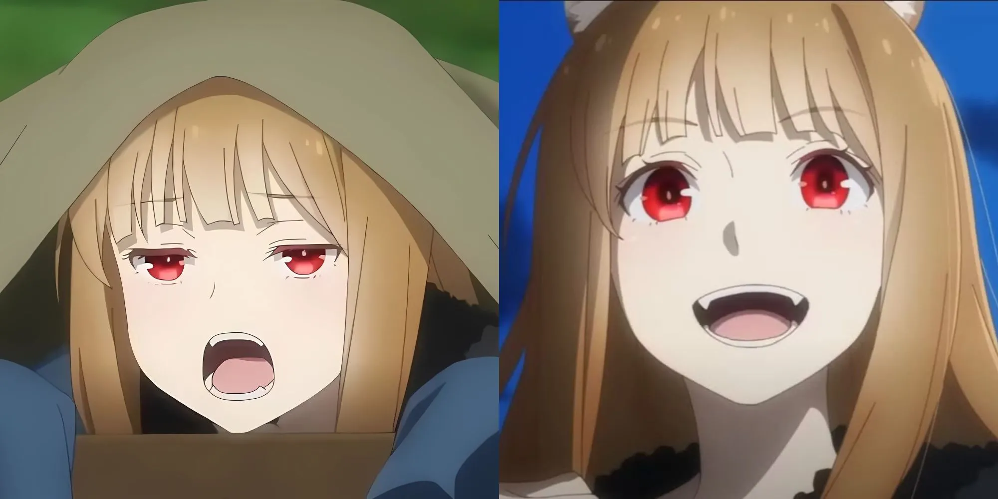 Holo trong Spice and Wolf nở nụ cười bí ẩn, thể hiện trí tuệ và sự tinh ranh