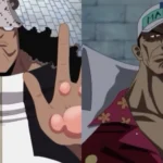Kuma và Akainu trong bối cảnh One Piece