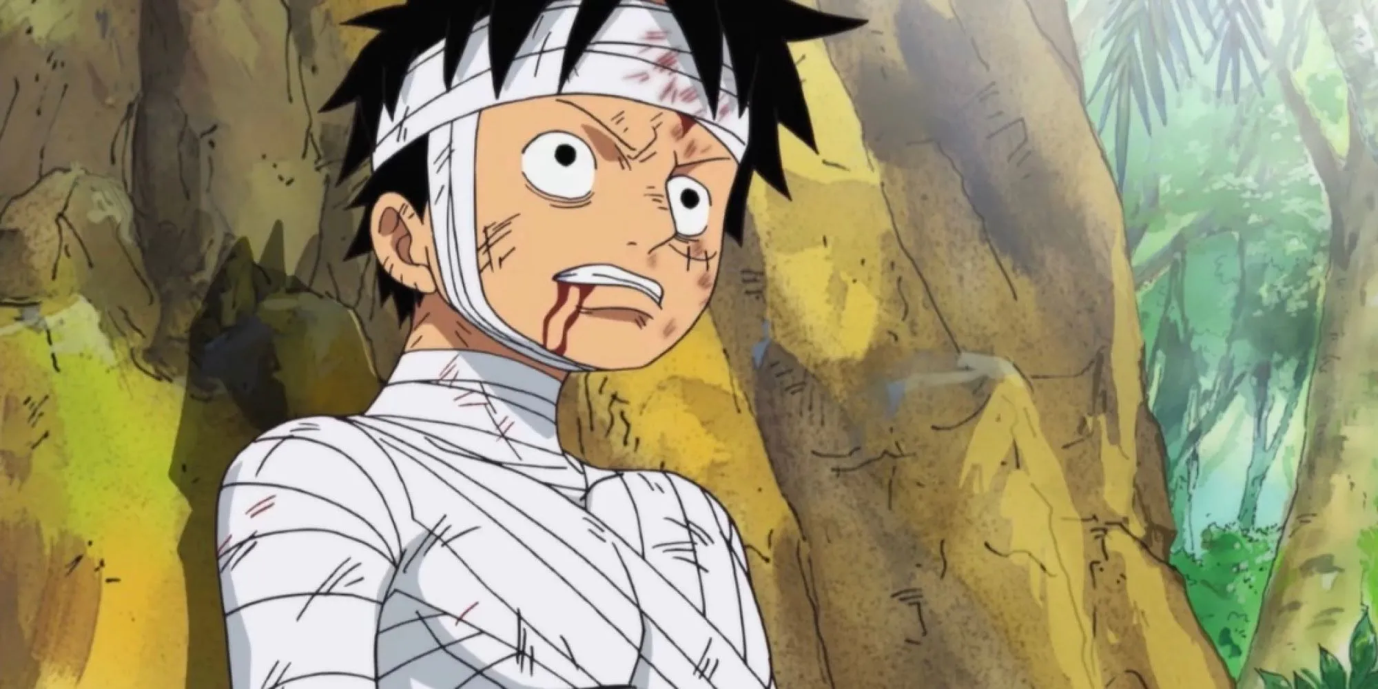 Luffy đau khổ sau cái chết của Ace tại Marineford