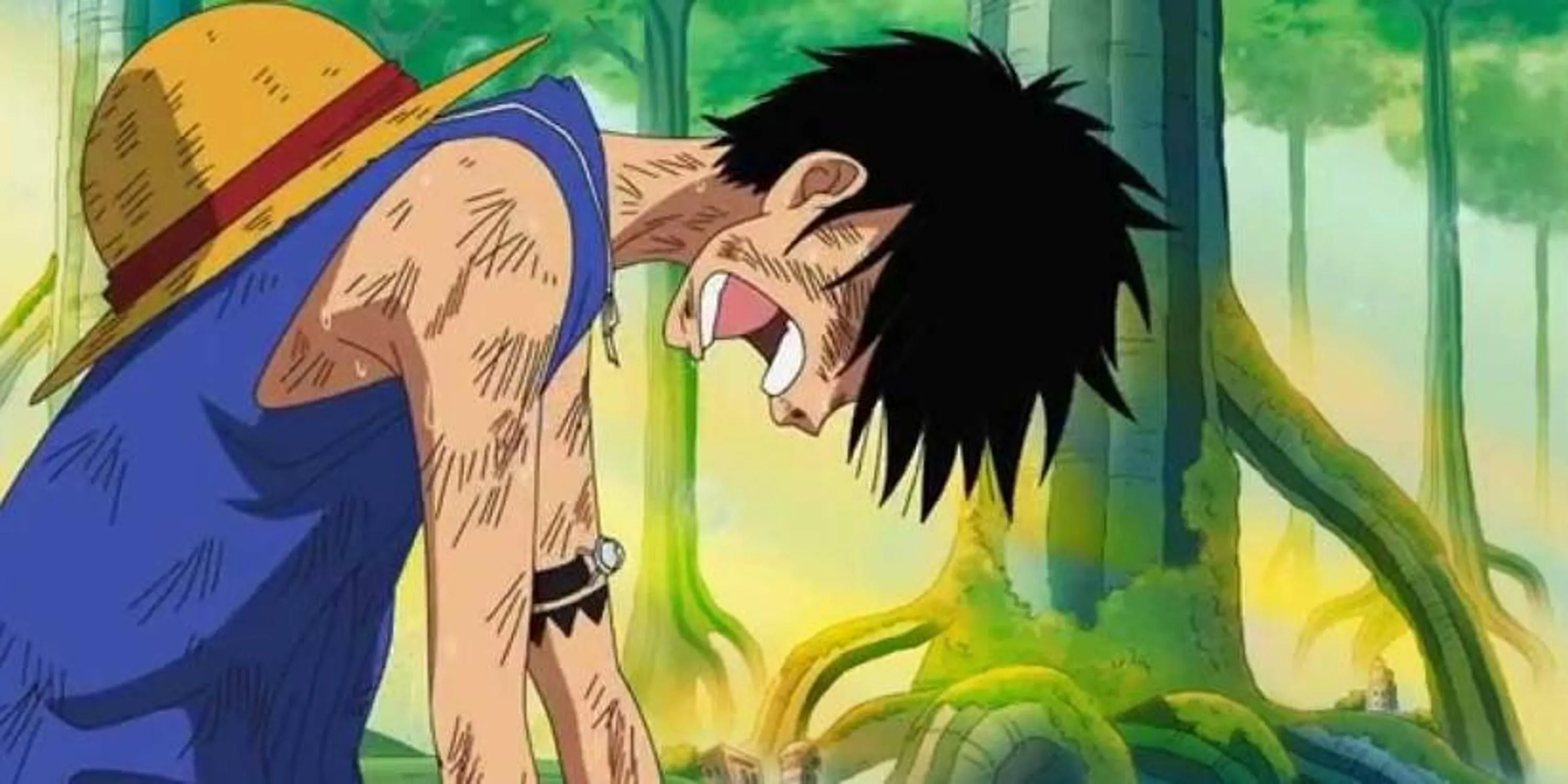 Monkey D. Luffy tuyệt vọng khóc khi nhìn Bartholomew Kuma đánh bay từng thành viên băng Mũ Rơm, One Piece tập 405