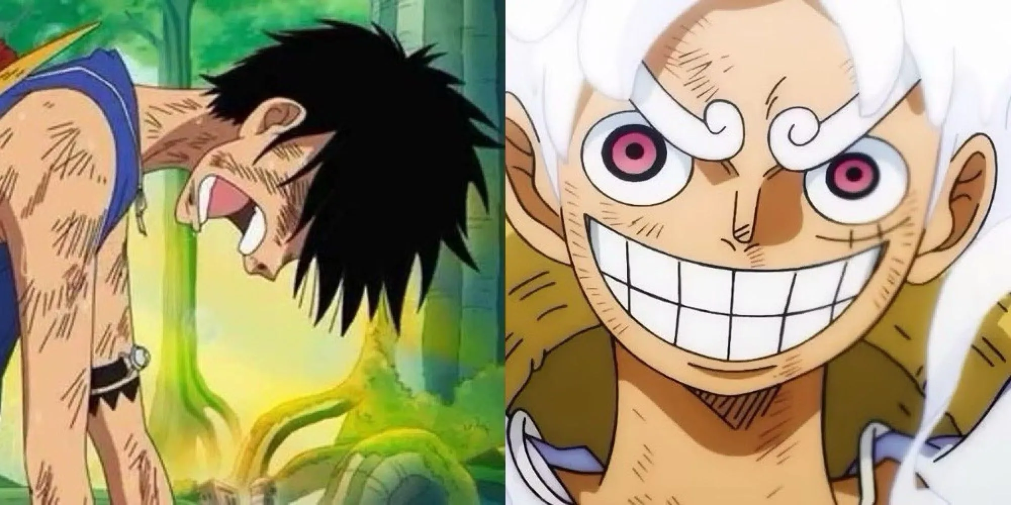 Monkey D. Luffy với chiếc Mũ Rơm biểu tượng