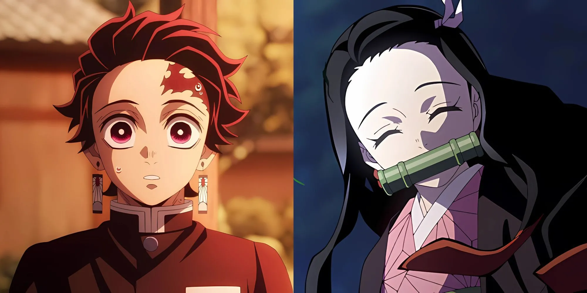 Nhân vật Tanjiro Kamado trong anime Demon Slayer