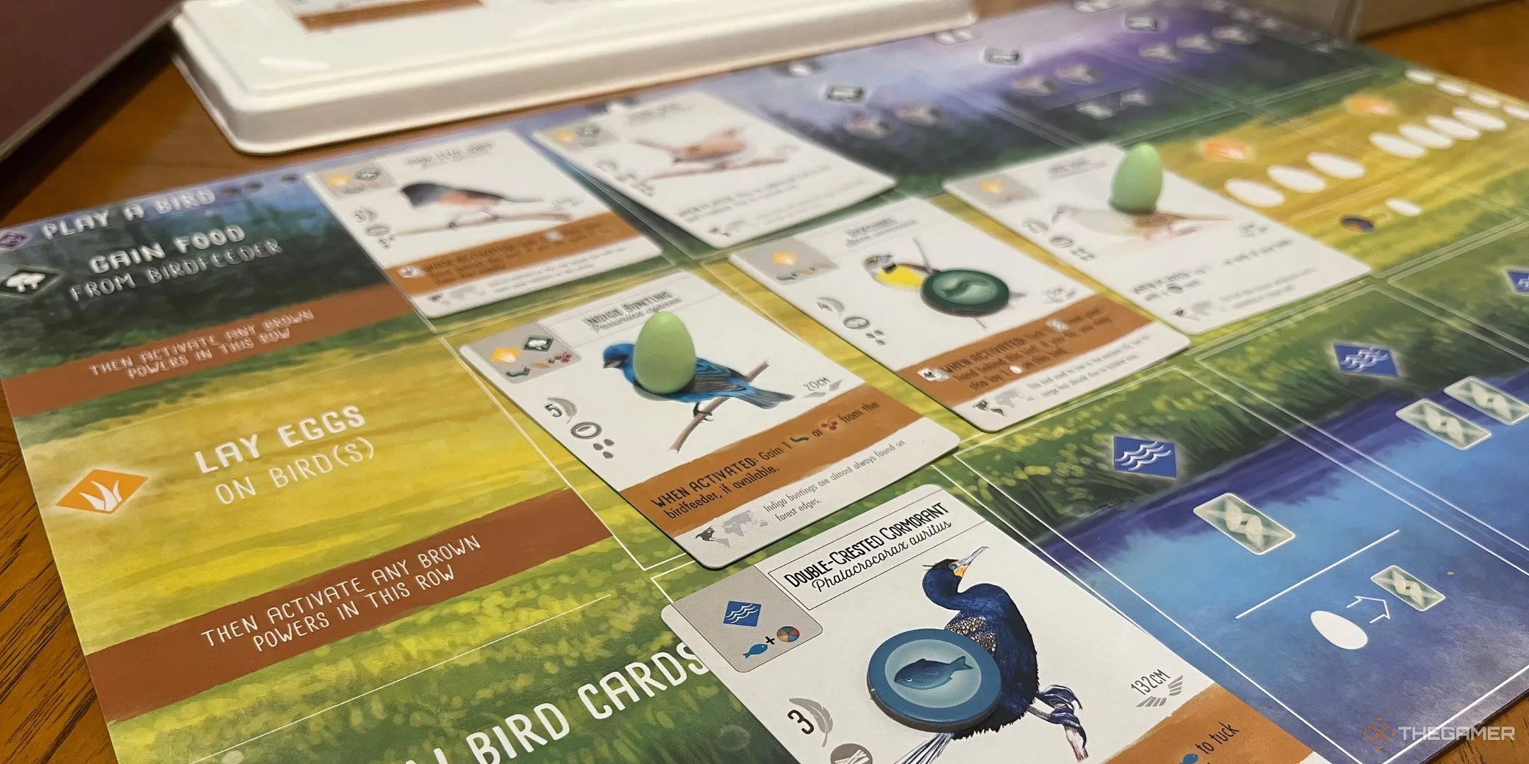 Mô tả hình ảnh: Khay người chơi trong board game Wingspan, với các khu vực đặt thẻ chim, trứng và thức ăn, thể hiện sự gọn gàng và thẩm mỹ của game.
