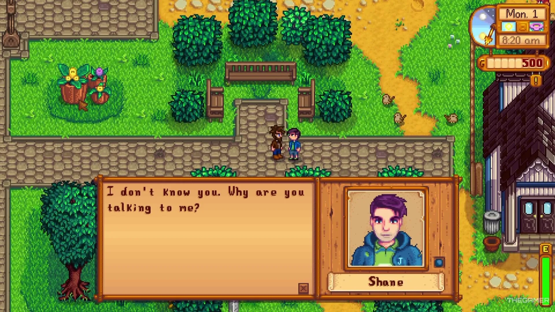 Người chơi gặp Shane trong thị trấn Pelican của Stardew Valley.